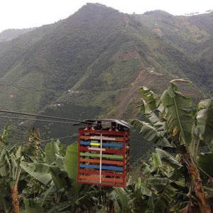Colombia Decaf Subscription