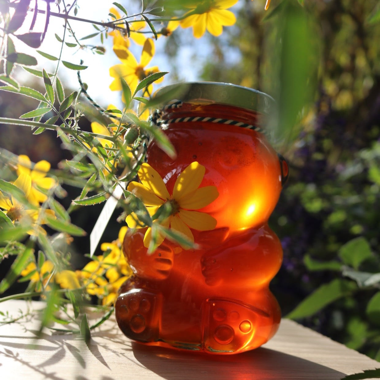 Herbal Honey Bear